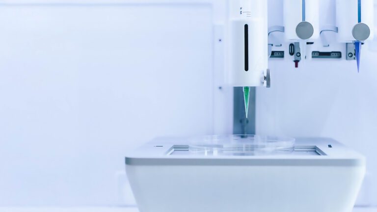 bio x 3D bioprinter printhead and printbed