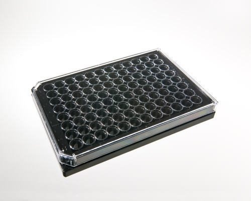 cytosoft 96 well plate