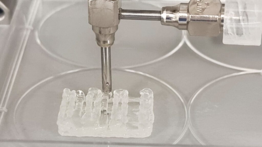 3D bioprinting full thickness skin model with bioink on BIO X6