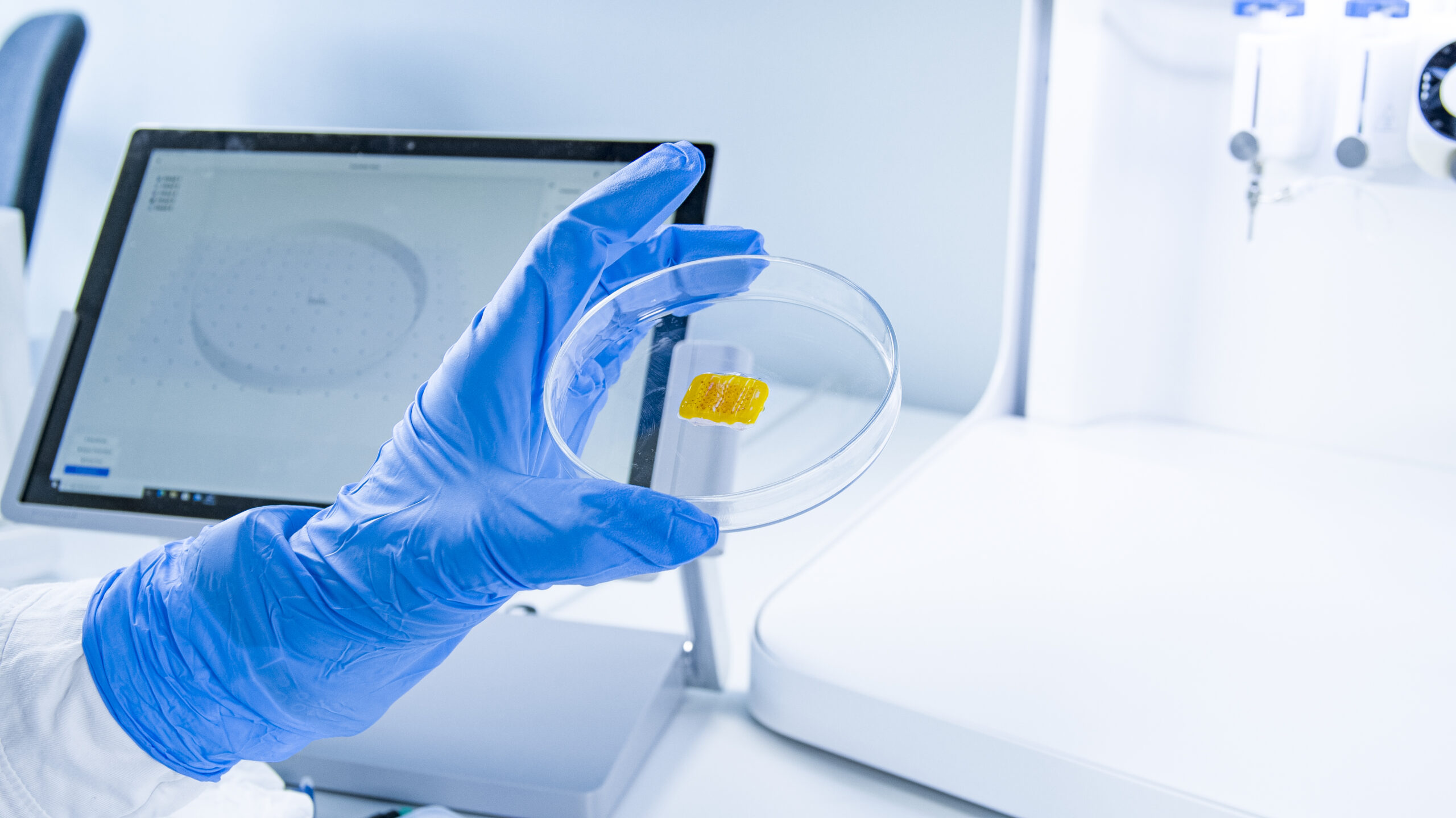 Workshop Extrusion Bioprinting for Healthcare Applications - CELLINK