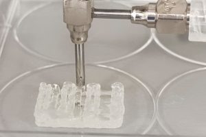 3D bioprinting full thickness skin model with bioink on BIO X6