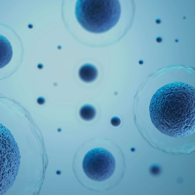 Mass-produced-stem-cells Mass-produced-stem-cells