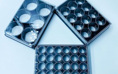 glass bottom multiwell cultureware for bioprinting